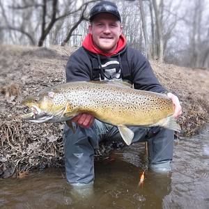 Meet your Posher, Trevor